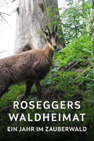 Roseggers Waldheimat - Ein Jahr im Zauberwald