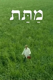 מתת