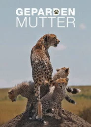 Gepardenmutter