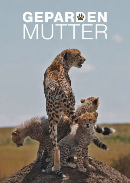 Gepardenmutter