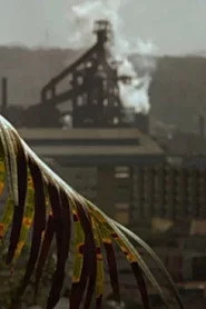 Steel Town