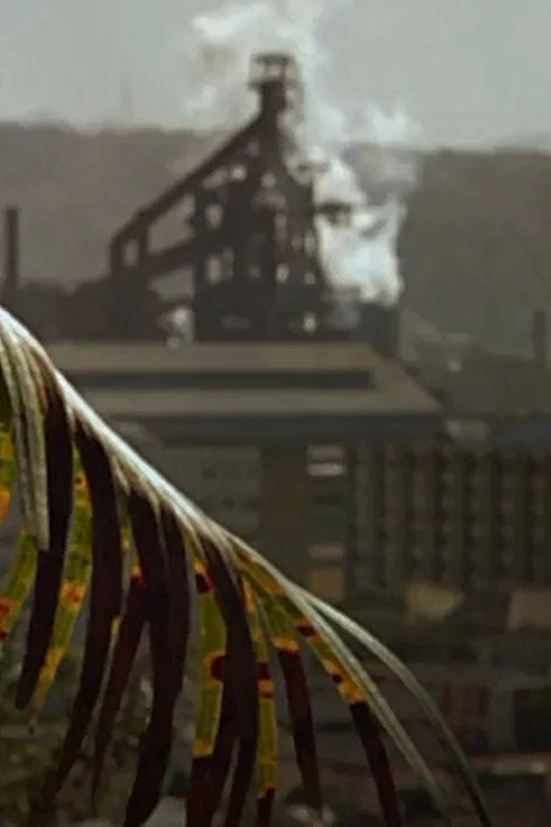 Steel Town