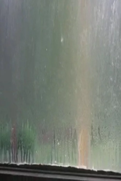 Fogged Windows