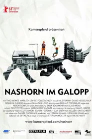 Nashorn im Galopp