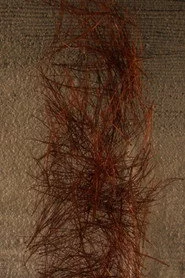 Kigo