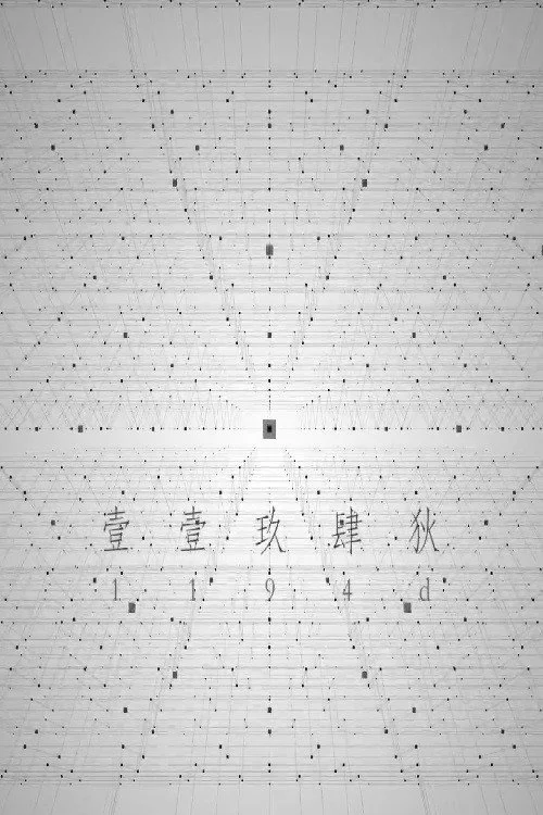 1194D