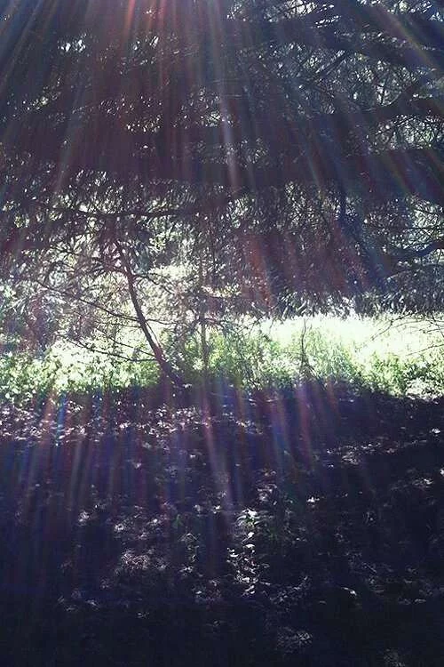 Spring