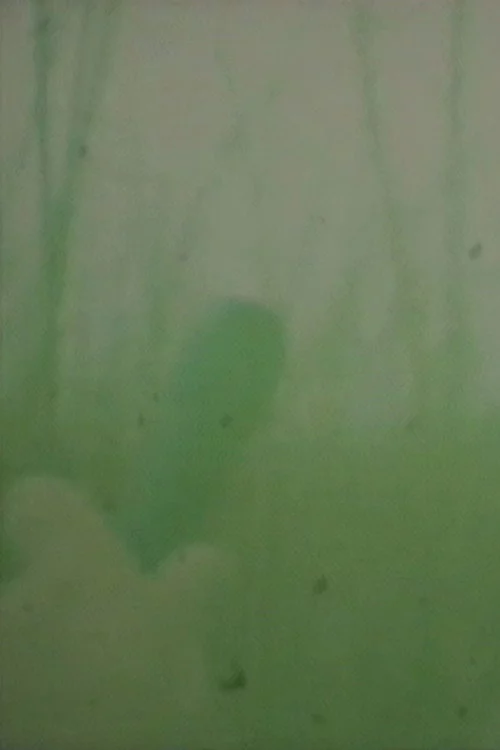 Oto o Karu