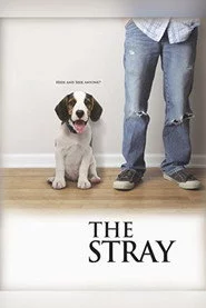The Stray
