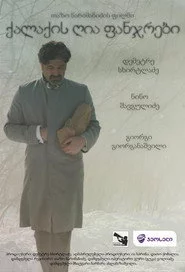 ქალაქის ღია ფანჯრები