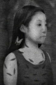 蛾鑑