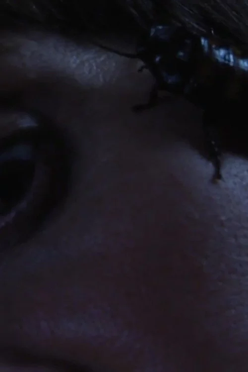 Bug Complex