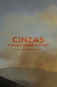 Cinzas, Ensaio Sobre o Fogo