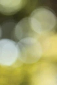 상
