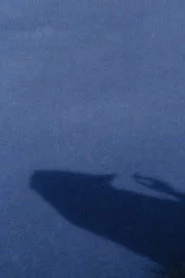 彼女たちの鳥