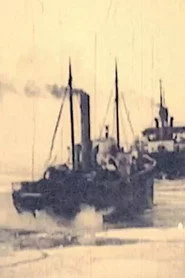 Ledlauzis Krišjānis Valdemārs