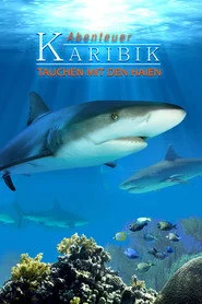 Abenteuer Karibik 3D: Tauchen Mit Den Haien