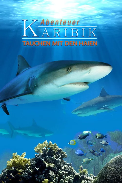 Abenteuer Karibik 3D: Tauchen Mit Den Haien