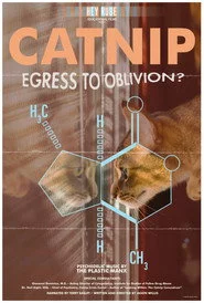 Catnip: Egress to Oblivion?