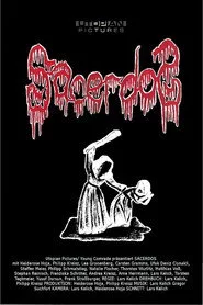 Sacerdos