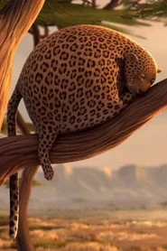 Rollin' Safari