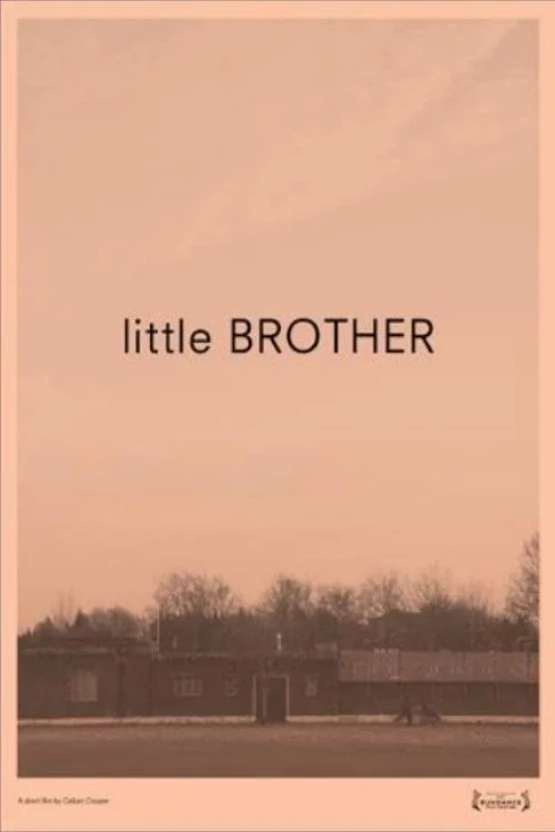 Little Brother