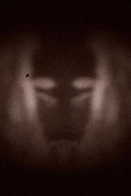 L’effet miroir
