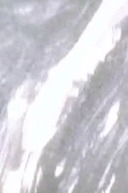 夢
