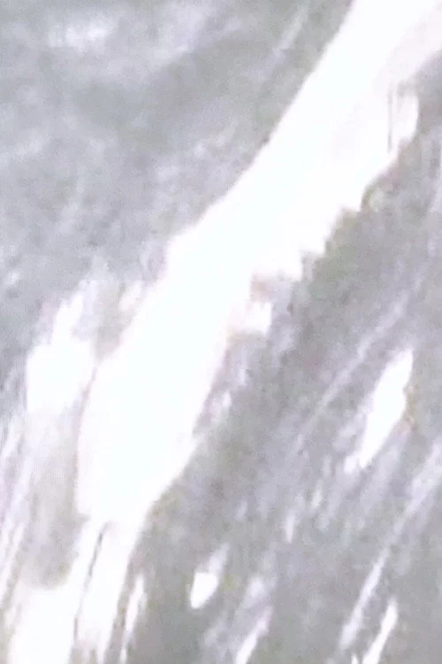 夢