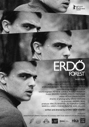 Erdő
