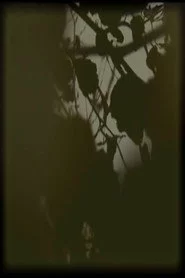 B#O 000001