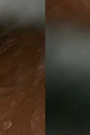 And the Earth Opened