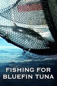 A Tutto Tonno - La Pesca del Tonno Rosso