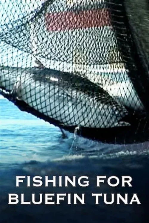 A Tutto Tonno - La Pesca del Tonno Rosso