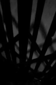 Dreams In Digital Or What They Teach You At Film School