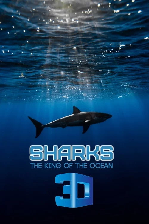 Haie - Killer aus dem Meer