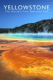National Parks Exploration Series: Yellowstone