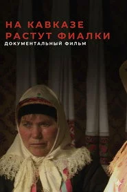 На Кавказе растут фиалки