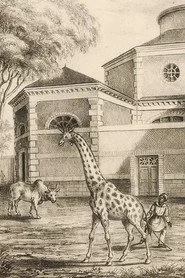 La Nuit tombe sur la ménagerie