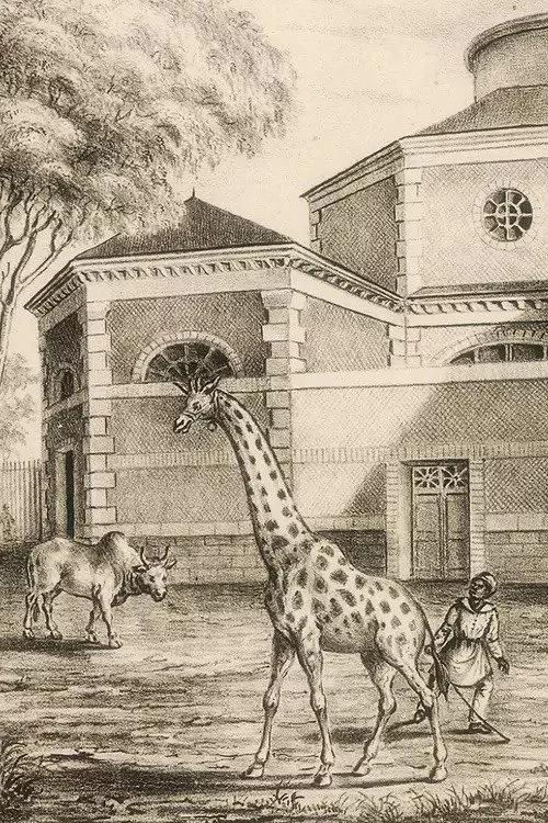 La Nuit tombe sur la ménagerie