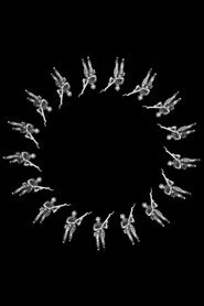 Spin