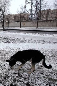 Вместе