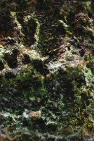 Half-Real
