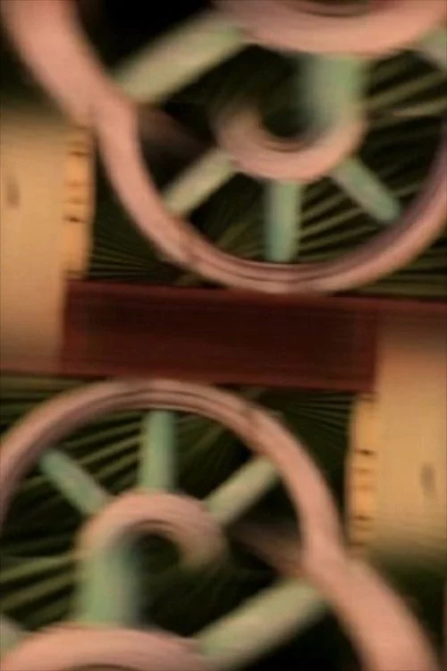 Samsara Vertigo