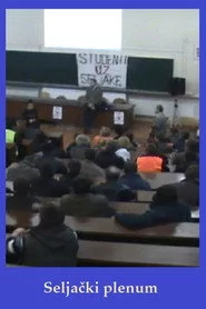 Seljački plenum