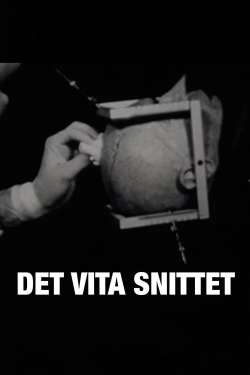 Det vita snittet