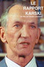 Le rapport Karski