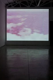 Spatial Disorientation