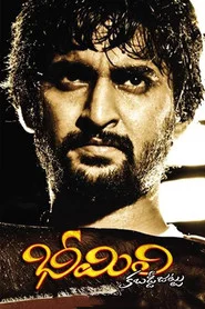 భీమిలి కబడ్డీ జట్టు