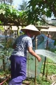 Đất đai thuộc về ai
